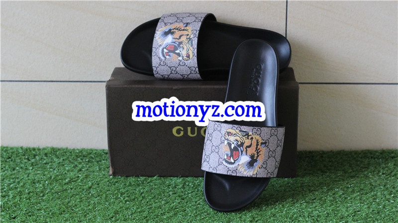 GC Slipper Tiger